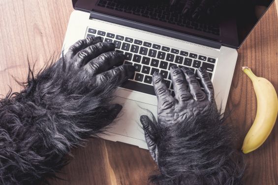 hackathon gorilla
