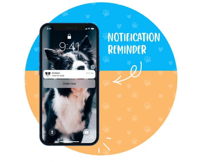 Petshop notifications reminder