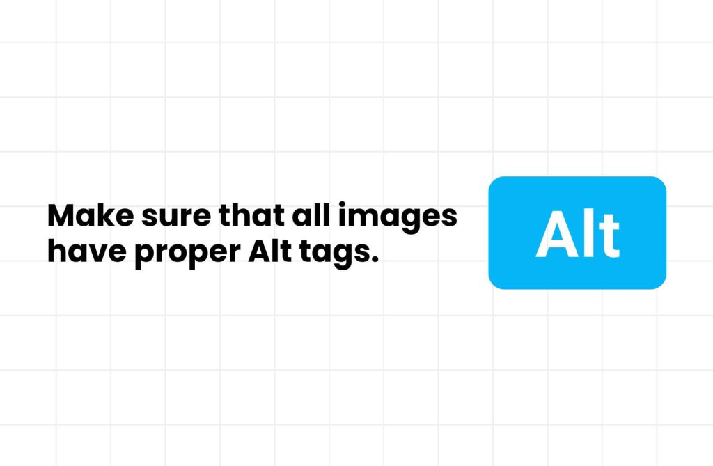 A reminder graphic stating "Make sure that all images have proper Alt tags." with a bold "Alt" in a blue box, emphasizing the importance of alternative text for ecommerce accessibility.